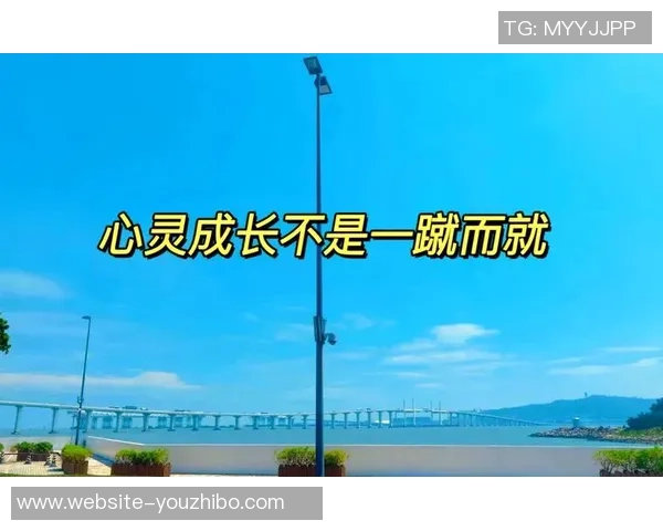 何思雨的心灵旅程与成长故事：在风雨中绽放的坚韧与希望