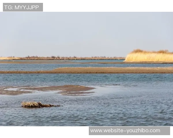 哈德森的魅力探秘:一场关于自然与人文的奇妙旅程 哈德森的魅力探秘:一场关于自然与人文的奇妙旅程
